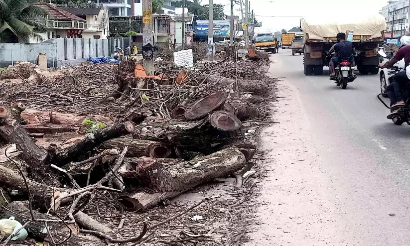 ദേശീയപാതയോരത്ത് മുറിച്ചിട്ട മരങ്ങൾ അപകടം വരുത്തുന്നു ദേശീയപാതയോരത്ത് മുറിച്ചിട്ട മരങ്ങൾ അപകടം വരുത്തുന്നു