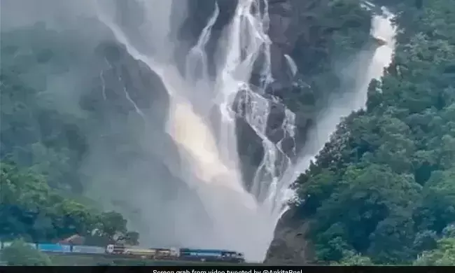 മൺസൂണിൽ അതിമനോഹരിയായി ദൂത്സാഗര്; വെള്ളച്ചാട്ടത്തിന്റെറ ദൃശ്യങ്ങൾ വൈറൽ മൺസൂണിൽ അതിമനോഹരിയായി ദൂത്സാഗര്; വെള്ളച്ചാട്ടത്തിന്റെറ ദൃശ്യങ്ങൾ വൈറൽ