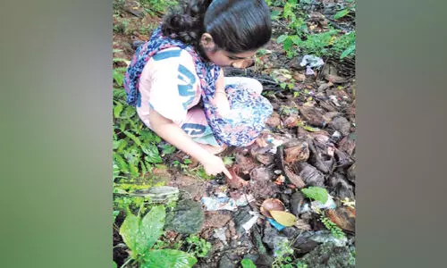 കൊതുക് ഉറവിട നശീകരണവുമായി എൻ.എസ്.എസ് വളണ്ടിയർമാർ