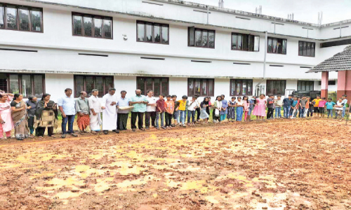 മുറ്റത്ത് കരനെൽ കൃഷിയുമായി സ്കൂൾ