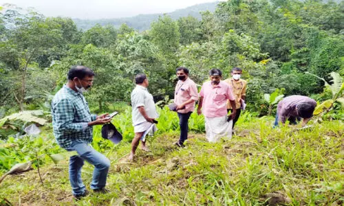 ഭൂമി വിള്ളൽ; വീണ്ടും സംസ്ഥാന ദുരന്ത നിവാരണ   സംഘമെത്തി