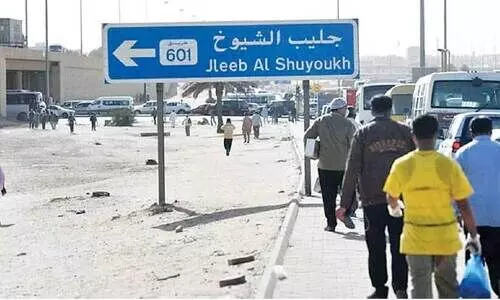Jleeb Al Shuyukh