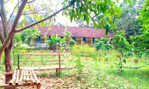 പച്ചപ്പ് നിറയുന്നു; ജില്ലയിൽ 200 പച്ചത്തുരുത്തുകൾ