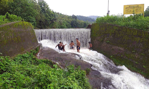 മനം നിറഞ്ഞൊഴുകി ചാത്തൻ ചിറ