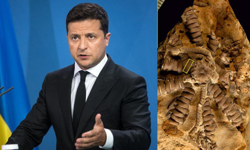 Volodymyr Zelensky