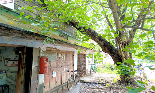 സ്കൂളിനു സമീപം ചാഞ്ഞ മരം അപകട ഭീഷണി