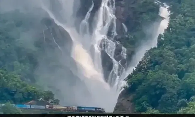 മൺസൂണിൽ അതിമനോഹരിയായി ദൂത്‌സാഗര്‍; വെള്ളച്ചാട്ടത്തിന്റെറ ദൃശ്യങ്ങൾ വൈറൽ