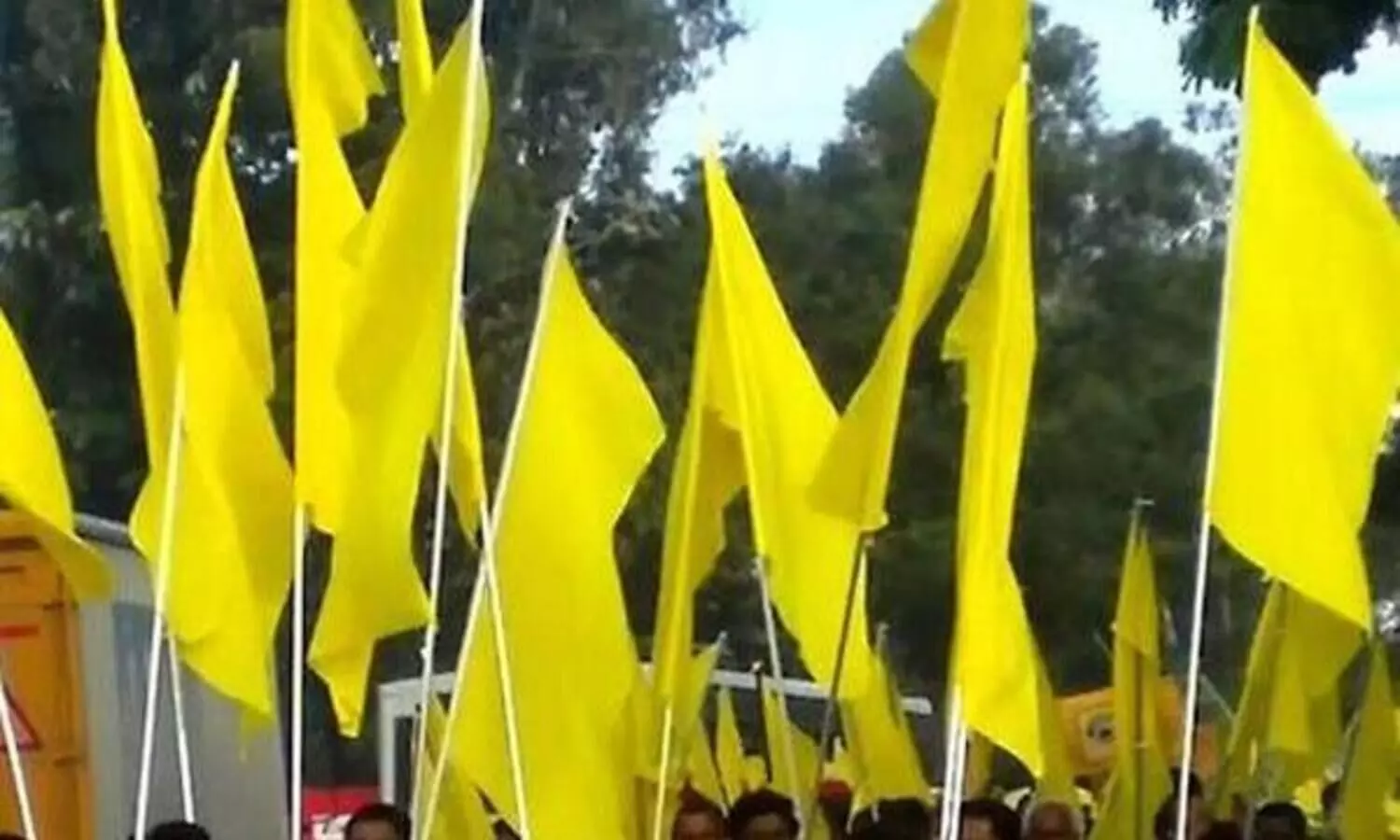 SN Trust, SNDP
