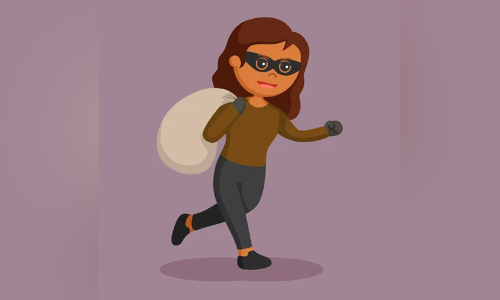 സഹായം അഭ്യർഥിച്ച് വീട്ടിലെത്തിയ പെൺകുട്ടി മൊബൈലുമായി കടന്നു