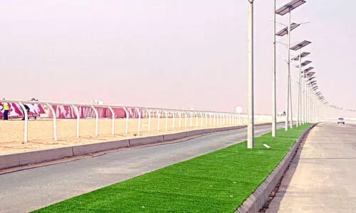 ക്രൗൺ​പ്രിൻസ്​ ഒട്ടകമേള നാളെ തുടങ്ങും