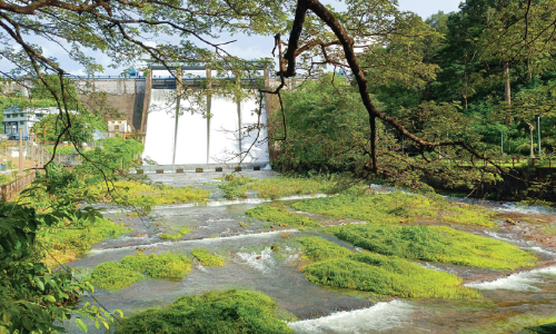 ഡാം ​ഷ​ട്ട​റു​ക​ൾ തു​റ​ന്നു