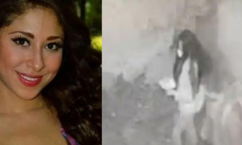 13 കോടിയുടെ അമൂല്യ വൈന്‍ ബോട്ടിലുകള്‍ മോഷ്ടിച്ച മുൻ സൗന്ദര്യ റാണി അറസ്റ്റില്‍