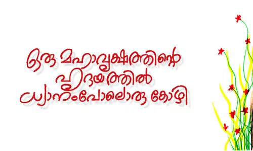 ഒരു മഹാവൃക്ഷത്തിന്റെ ഹൃദയത്തിൽ ധ്യാനംപോലൊരു കോഴി