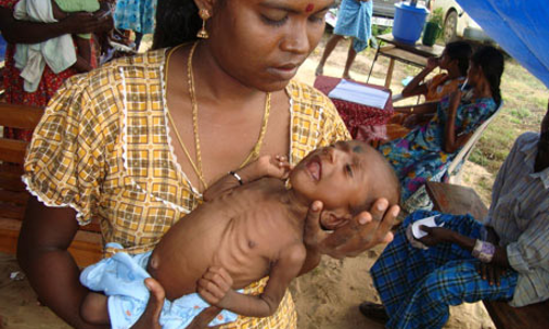 വ്യാഴവട്ടം കഴിഞ്ഞിട്ടും ആദിവാസികൾക്ക് കേന്ദ്രം അനുവദിച്ച ഭൂമിയുടെ നാലിലൊന്ന് ലഭിച്ചില്ല