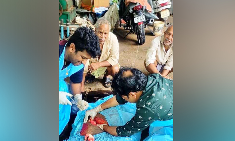 ഗർഭിണിയായ പശുവിന് ശസ്ത്രക്രിയയിലൂടെ പുതുജീവൻ ഗർഭിണിയായ പശുവിന് ശസ്ത്രക്രിയയിലൂടെ പുതുജീവൻ