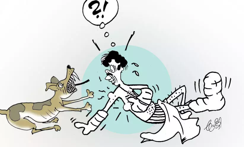 ചെറുതോണി ടൗണില് വീണ്ടും തെരുവുനായ് ആക്രമണം ചെറുതോണി ടൗണില് വീണ്ടും തെരുവുനായ് ആക്രമണം