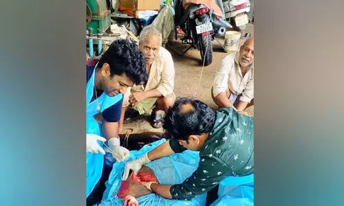 ഗർഭിണിയായ പശുവിന് ശസ്ത്രക്രിയയിലൂടെ പുതുജീവൻ