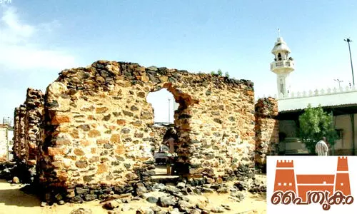 ഹുദൈബിയയിലെ പൂമരച്ചോട്ടിൽ