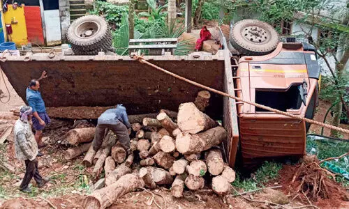 മരം കയറ്റിയ ലോറി താഴ്ചയിലേക്ക് മറിഞ്ഞു