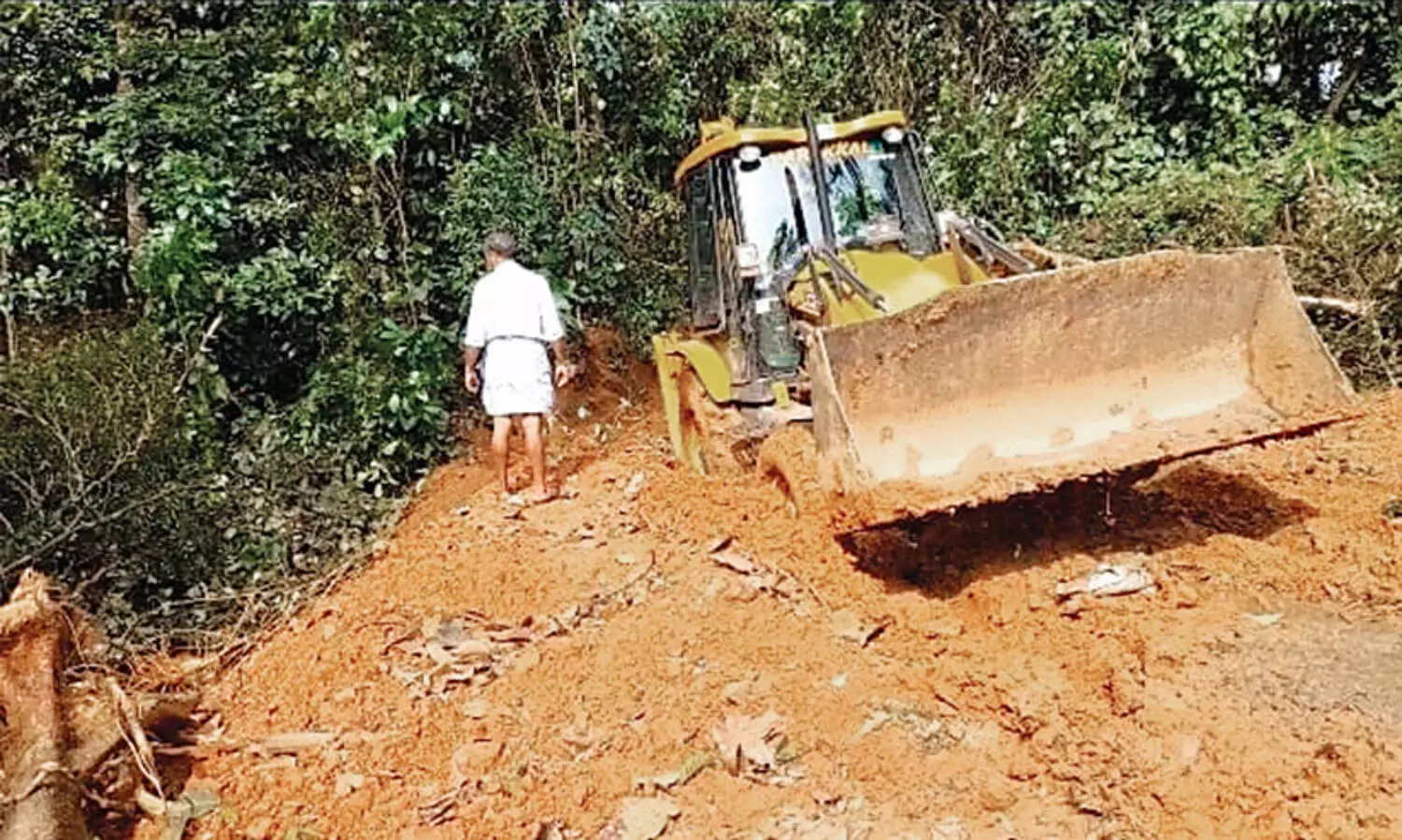 ആഫ്രിക്കൻ പന്നിപ്പനി: വയനാട്ടിലെ ഫാമുകളിൽ പന്നികളെ കൊന്നുതുടങ്ങി