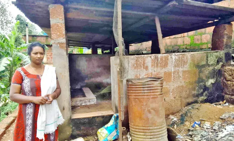 African swine fever African swine fever