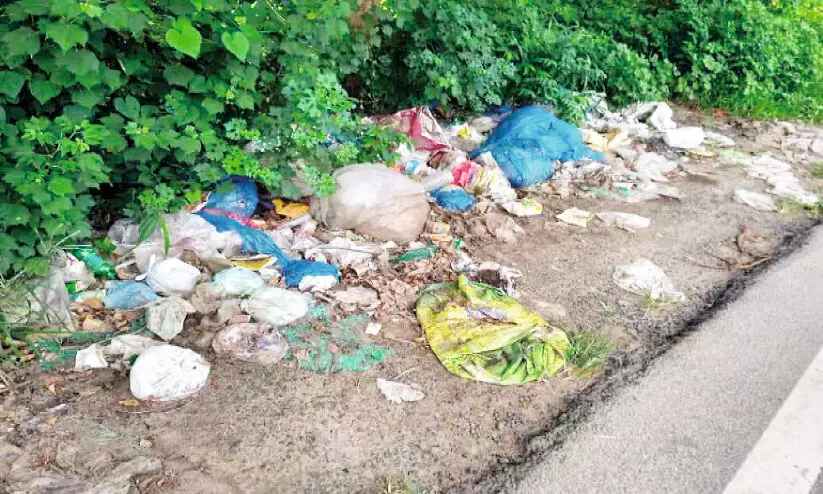 ആകെ നാറ്റകേസായി; തോടുകളിലും പാതയോരത്തും കക്കൂസ് മാലിന്യം തള്ളി