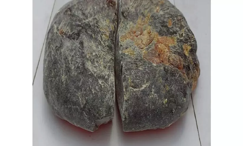 ട്രെയിനിൽ കടത്താൻ ശ്രമിച്ച അംബർഗ്രീസ് പിടികൂടി; ആറുപേർ അറസ്റ്റിൽ