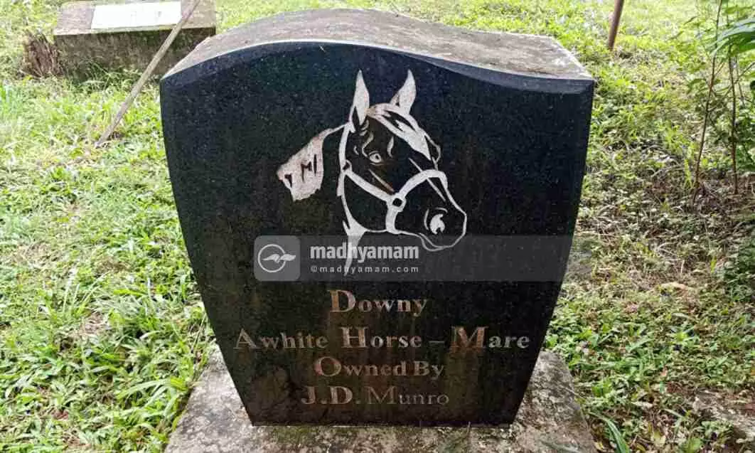tomb for horse