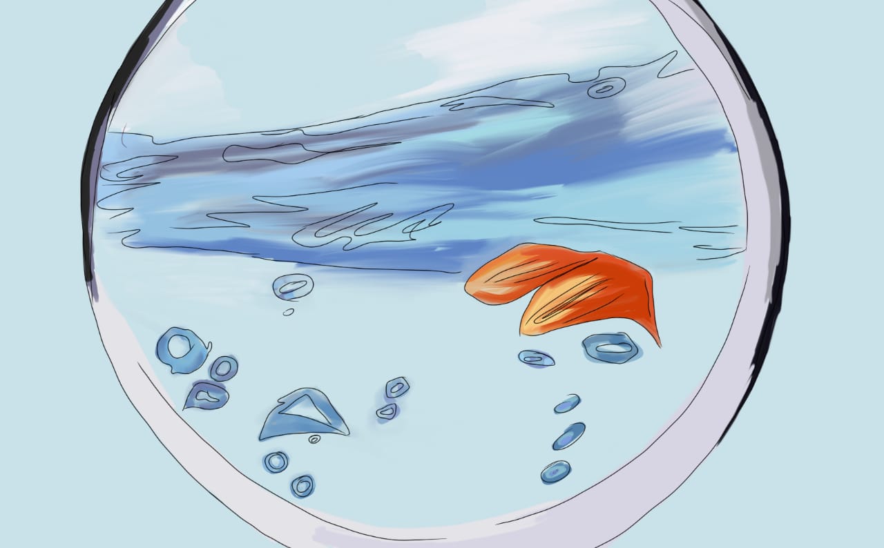 ഒരു മത്സ്യത്തിന്റെ ആത്മഹത്യയുടെ കഥ ഒരു മത്സ്യത്തിന്റെ ആത്മഹത്യയുടെ കഥ