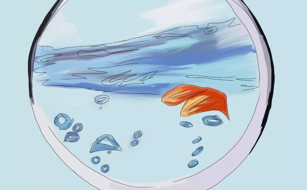 ഒരു മത്സ്യത്തിന്റെ ആത്മഹത്യയുടെ കഥ ഒരു മത്സ്യത്തിന്റെ ആത്മഹത്യയുടെ കഥ