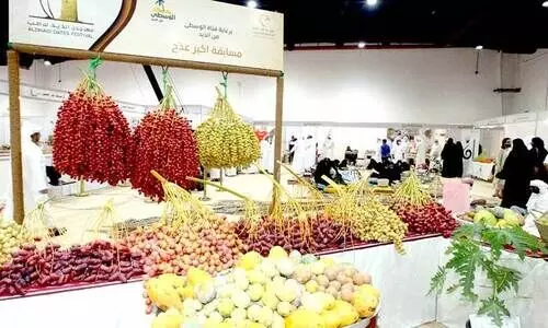 ദൈ​ദ്​ ഈ​ത്ത​പ്പ​ഴോ​ത്സ​വം കാ​ണാ​ൻ  സ​ന്ദ​ർ​ശ​ക​രു​ടെ തി​ര​ക്ക്​