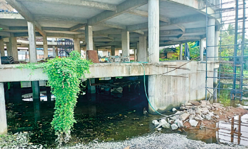 നിർമാണം ഇഴയുന്നു: കൊതുകുവളർത്തൽ കേന്ദ്രമായി മലപ്പുറം നഗരസഭ മാർക്കറ്റ് കെട്ടിടം