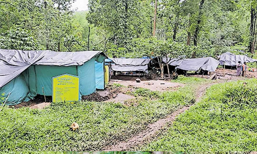 മരിയനാട് ഭൂസമരം ശക്തമാക്കും; ലോക ആദിവാസി ദിനത്തിൽ ഐക്യദാർഢ്യ കൺവെൻഷൻ