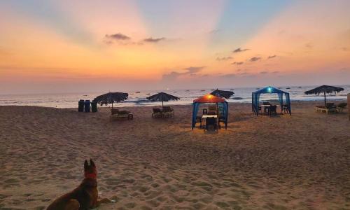 കടലിന്റെ സൗന്ദര്യം നുകർന്ന് ജോലി ചെയ്യാം; ​ഗോവൻ ബീച്ചുകളിൽ ​​വർക്ക് ഫ്രം ഹോമുമായി സർക്കാർ