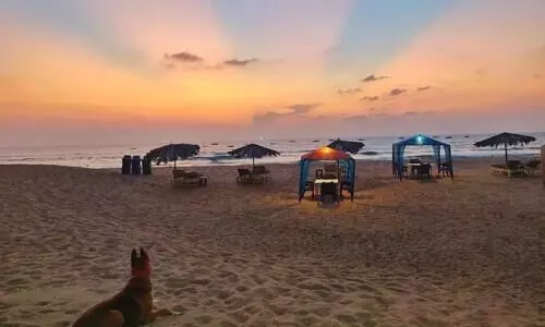 കടലിന്റെ സൗന്ദര്യം നുകർന്ന് ജോലി ചെയ്യാം; ​ഗോവൻ ബീച്ചുകളിൽ ​​വർക്ക് ഫ്രം ഹോമുമായി സർക്കാർ