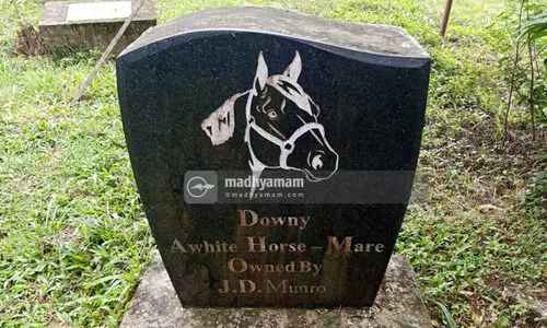 tomb for horse tomb for horse