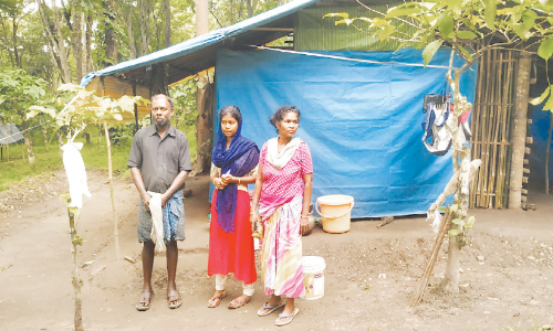 ഫീസടക്കാൻ വഴിയില്ല; ആദിവാസി വിദ്യാർഥിനിയുടെ പി.ജി പഠനം മുടങ്ങി