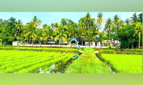 പത്തടിപ്പാടത്ത് കൊയ്ത്തുപാട്ടിന്‍റെ ഈരടി