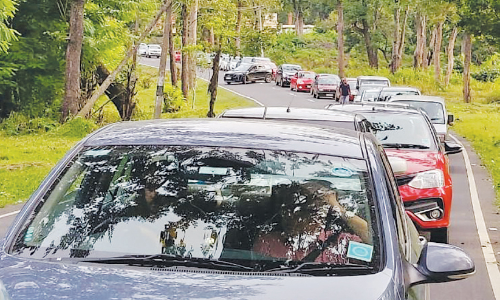 ദേശീയപാതയിൽ വാഹനക്കുരുക്ക്; ഗുണ്ടൽപേട്ടിലേക്ക് സഞ്ചാരികളുടെ ഒഴുക്ക്