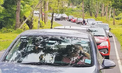 ദേശീയപാതയിൽ വാഹനക്കുരുക്ക്; ഗുണ്ടൽപേട്ടിലേക്ക് സഞ്ചാരികളുടെ ഒഴുക്ക്