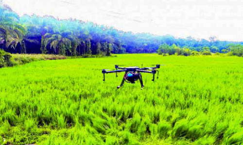 കൊടുമണ്ണിൽ ഡ്രോണ്‍ ഉപയോഗിച്ച് വളപ്രയോഗം