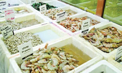 ചെമ്മീൻ വിലക്കിന് 31 വർഷം; സമ്മിശ്ര പ്രതികരണങ്ങളുമായി മത്സ്യത്തൊഴിലാളികൾ