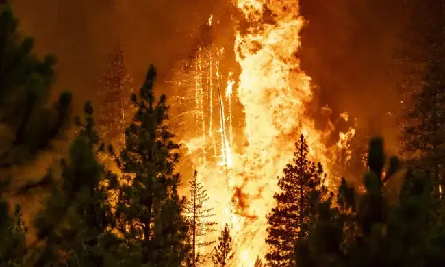 കാലിഫോർണിയയിൽ കാട്ടുതീ പടരുന്നു; 6000ലധികം ആളുകളെ മാറ്റി പാർപ്പിച്ചു