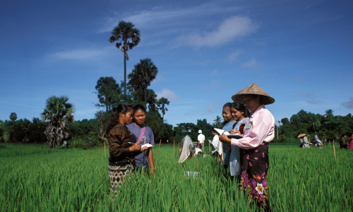 കാർഷിക സെൻസസ് : എന്യൂമറേറ്റർമാരെ തിരഞ്ഞെടുക്കുന്നതിന് അനുമതി