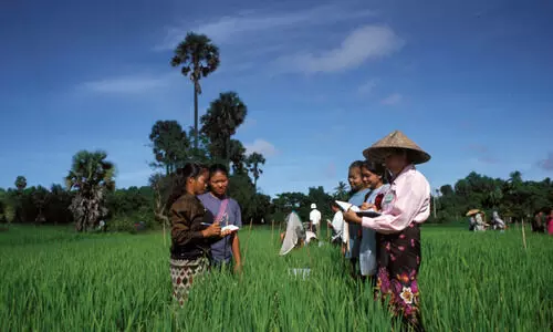 കാർഷിക സെൻസസ് : എന്യൂമറേറ്റർമാരെ തിരഞ്ഞെടുക്കുന്നതിന് അനുമതി
