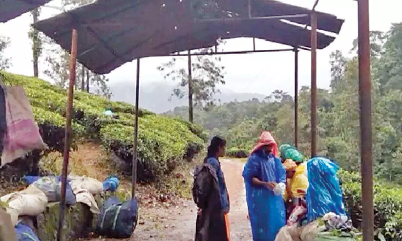 ലീഫ് ഷെഡ്ഡുകൾക്ക് മേൽക്കൂരയില്ല; തൊഴിലാളികൾക്ക് ദുരിതം