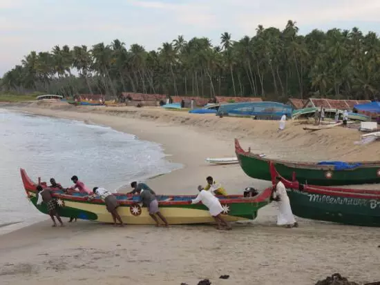 മത്സ്യത്തൊഴിലാളികൾക്ക് അറിവ് നൽകാൻ ഫിഷറീസ് വകുപ്പ്