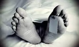 തേങ്ങ തലയിൽവീണ് യുവതിക്ക് ദാരുണാന്ത്യം തേങ്ങ തലയിൽവീണ് യുവതിക്ക് ദാരുണാന്ത്യം