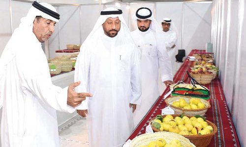 ദൈദ് ഈത്തപ്പഴ മേള സമാപിച്ചു