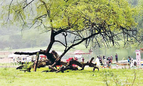 ദോഫാറിനെ കുളിരണിയിച്ച് മഴ; കൂടുതൽ ലഭിച്ചത് താഖയിൽ ദോഫാറിനെ കുളിരണിയിച്ച് മഴ; കൂടുതൽ ലഭിച്ചത് താഖയിൽ